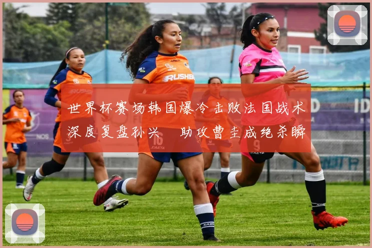 世界杯赛场韩国爆冷击败法国战术深度复盘孙兴慜助攻曹圭成绝杀瞬间解析