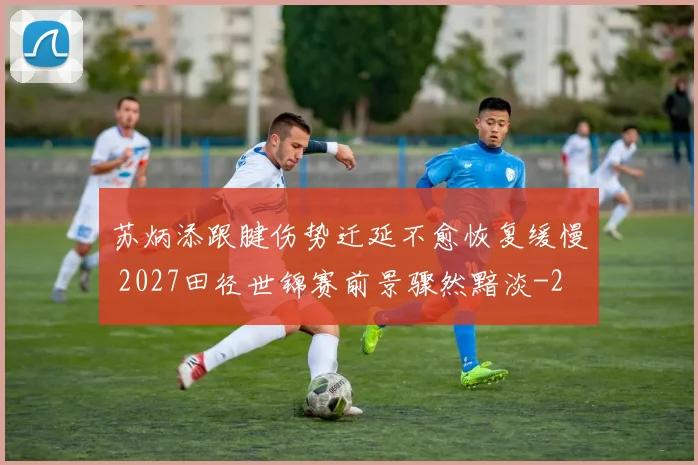 苏炳添跟腱伤势迁延不愈恢复缓慢 2027田径世锦赛前景骤然黯淡